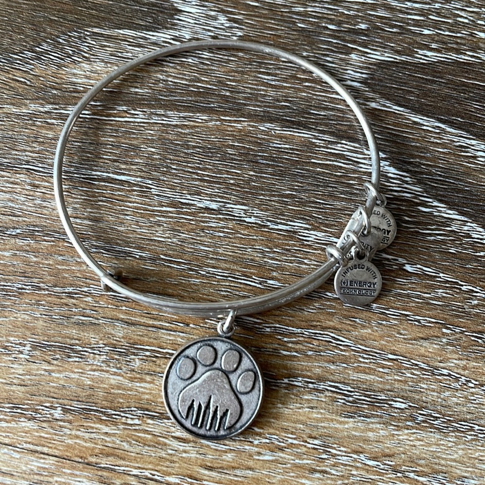 Alex and Ani Paw Print Charm Bracelet
